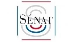 Réforme du droit des contrats - Sénat